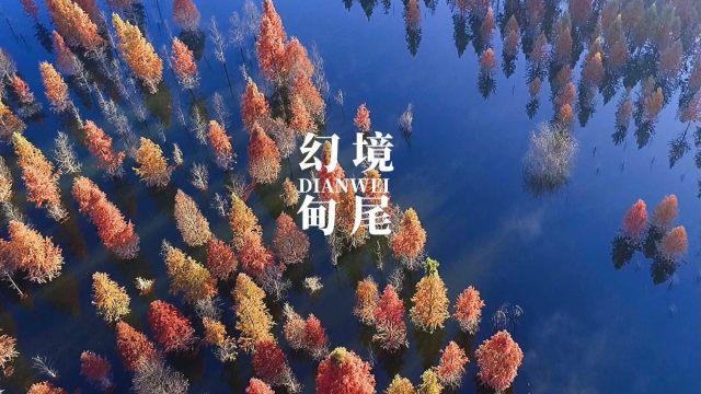 绿色独眼怪
