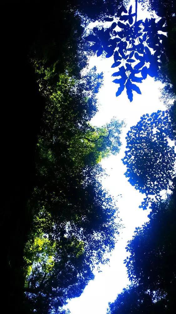 清理草坪
